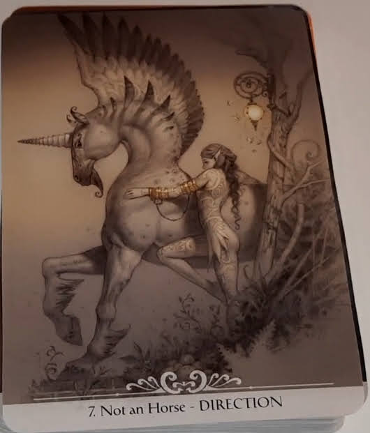 Barbieri Unicorns Oracle